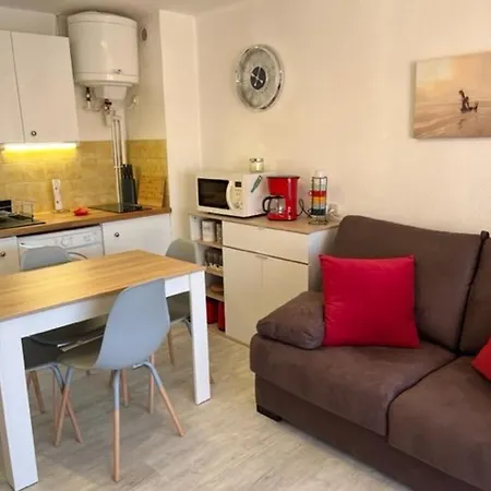 Renove Avec Clim, Parking, Piscine—proche Commerces, Et Port Au Cap D'agde - Fr-1-749-6 דירה